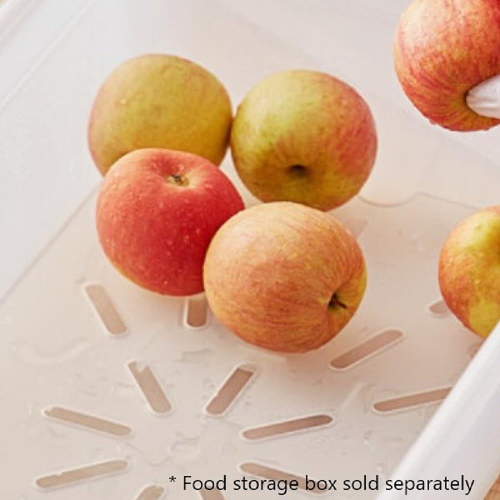 Food Storage Box Drain Shelf White Color- Food Storage Container Drain Shelf for Food Fruit Vegetables Sink Kitchen Restaurant Hotel Kitchen and Cafeteria