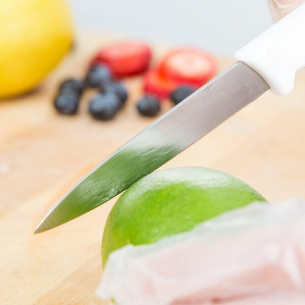 3-1/4” Blade Paring Knife German Steel Assorted Color Handle Set of 42- Small Fruit Knifes Razor Sharp Pairing Knives Kitchen Knives for Fruits Vegetables Home Kitchen Restaurants