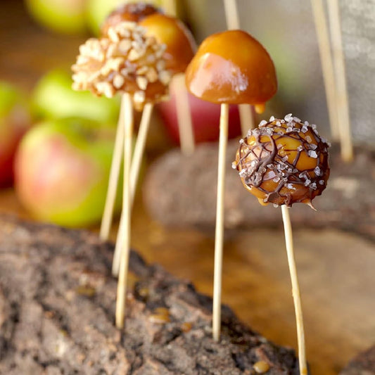 Bamboo BBQ Skewers for Grilling BBQ Appetiser Fruit Cocktail Kabob Chocolate Fountain Grilling Barbecue Kitchen Crafting Party