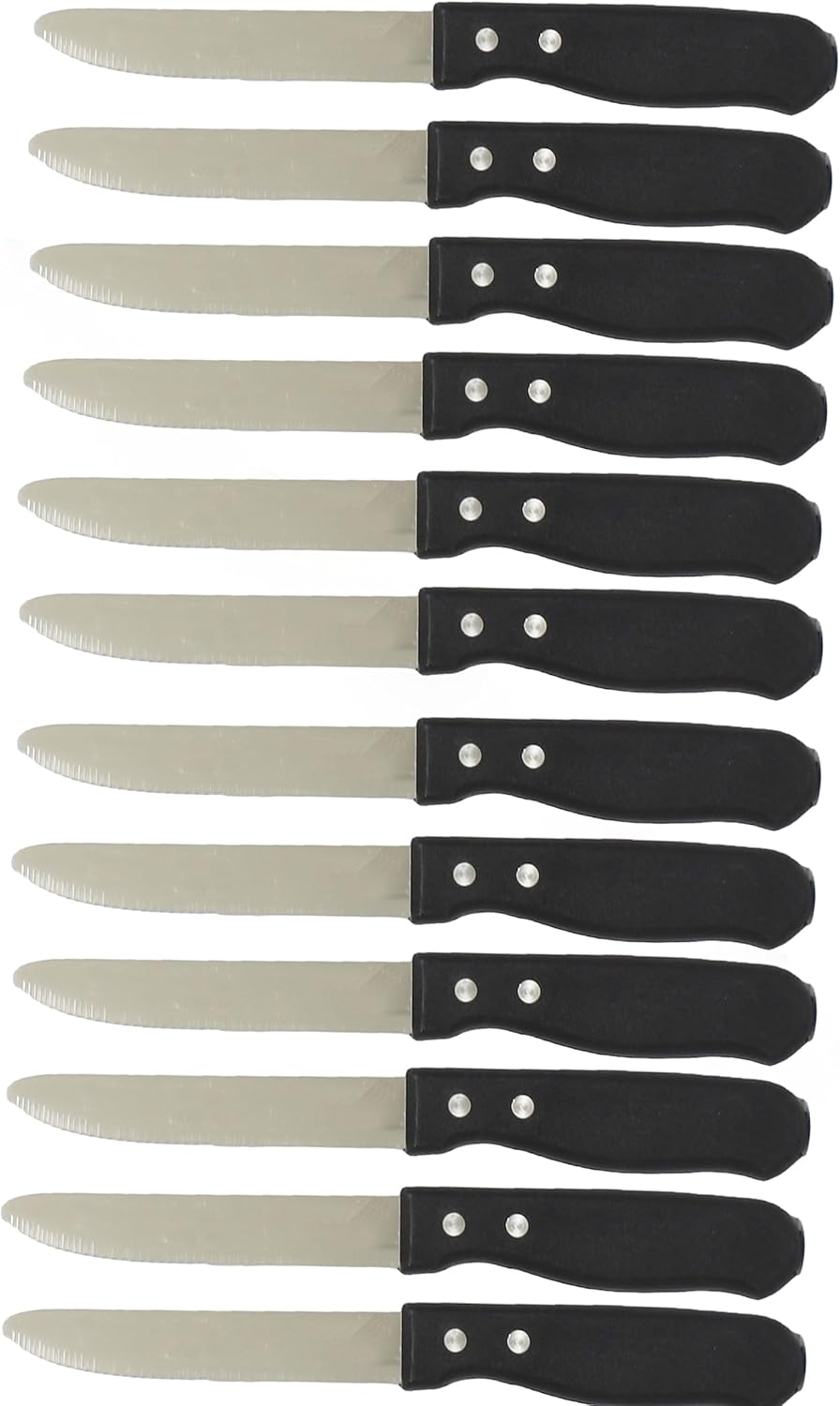 5” Stainless Steel Round Tip Jumbo Steak Knife with Handle Set of 12- Steak Knives Dinner Knives Meat Cutter Knife Set for Home and Restaurants