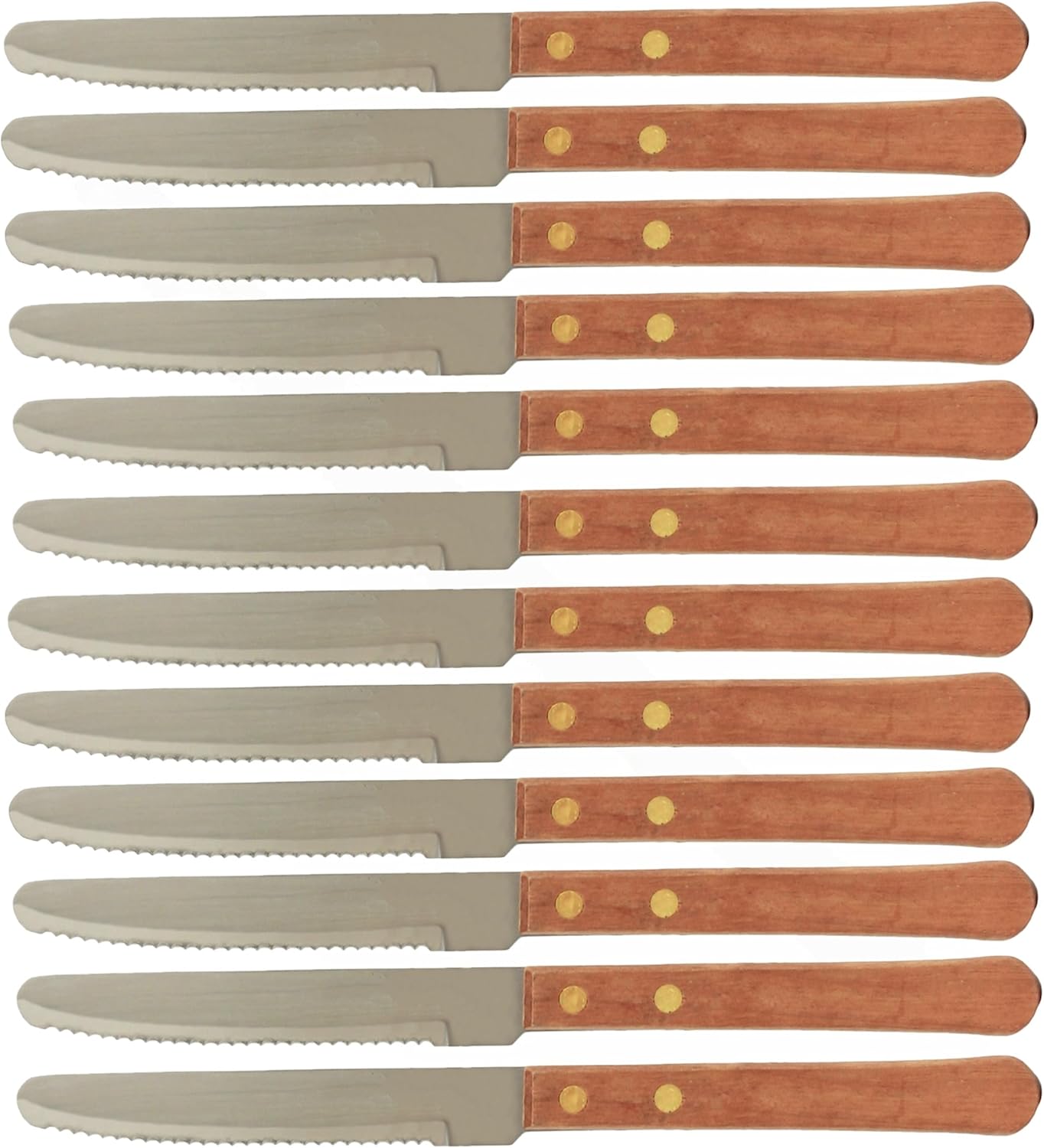 Stainless Steel Round Tip Steak Knife with Handle Set of 12- Steak Knives Dinner Meat Cutter Knife Set for Home and Restaurants