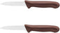 Blade Paring Knife German Steel Handle Set of 2- Small Fruit Knife Razor Sharp Pairing Knives Kitchen Knives for Fruits Vegetables Home Kitchen Restaurants