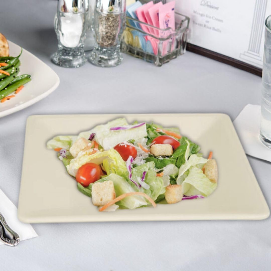 Square Plate Passion Melamine - Dinner Plates Reusable Dishes Plates Perfect for Dishes Dishwasher Safe Break-Resistant