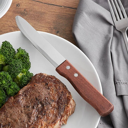 5” Stainless Steel Round Tip Jumbo Steak Knife with Handle Set of 12- Steak Knives Dinner Knives Meat Cutter Knife Set for Home and Restaurants