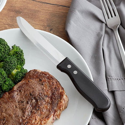 5” Stainless Steel Round Tip Jumbo Steak Knife with Handle Set of 12- Steak Knives Dinner Knives Meat Cutter Knife Set for Home and Restaurants